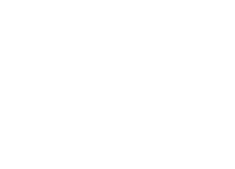 Vector (4)