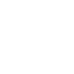 Roller Brush