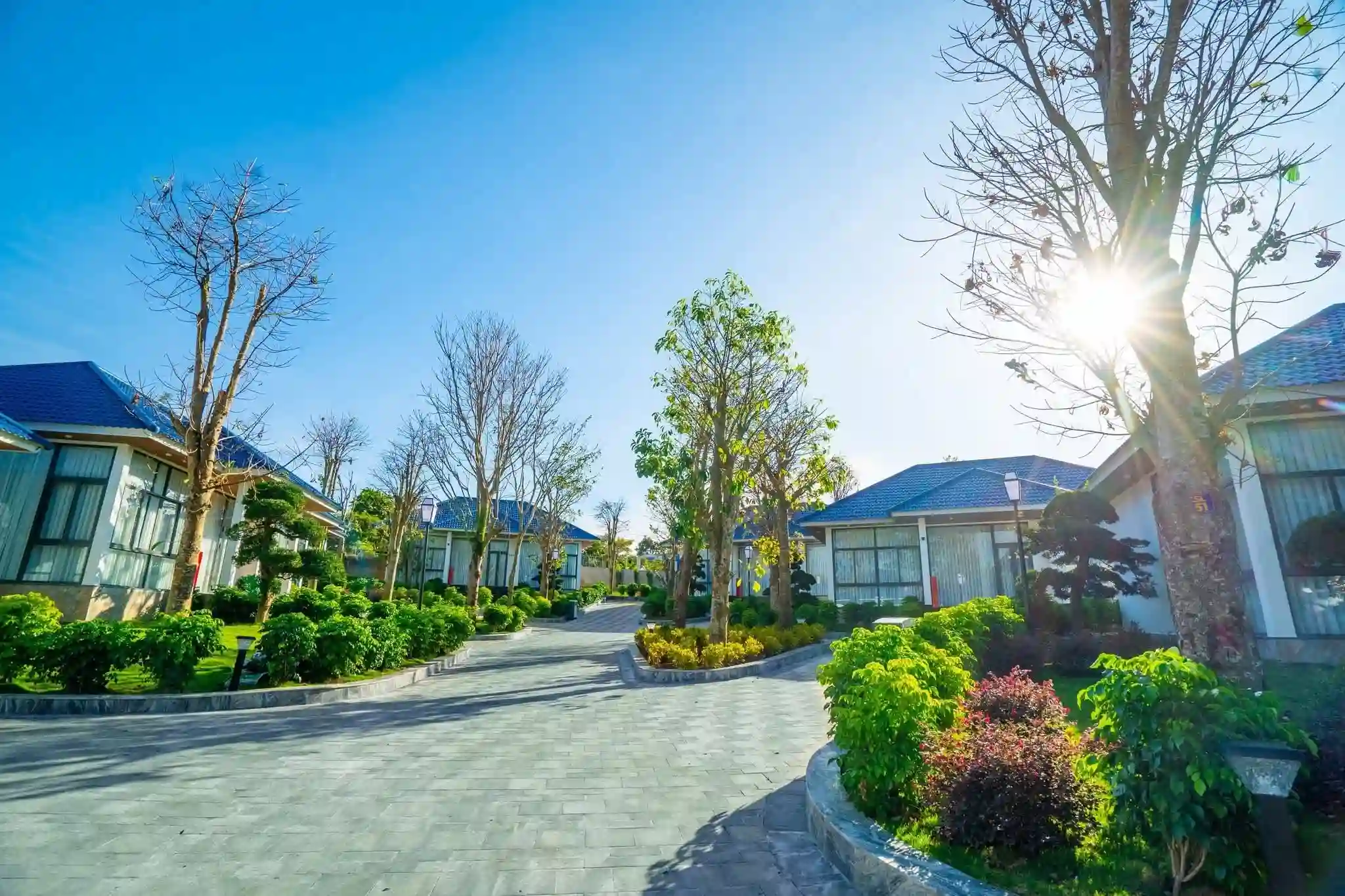 Resort Đôi Dép Bảo Lộc - hình ảnh 3